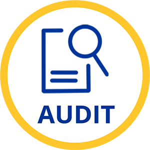 corporate audit service icon