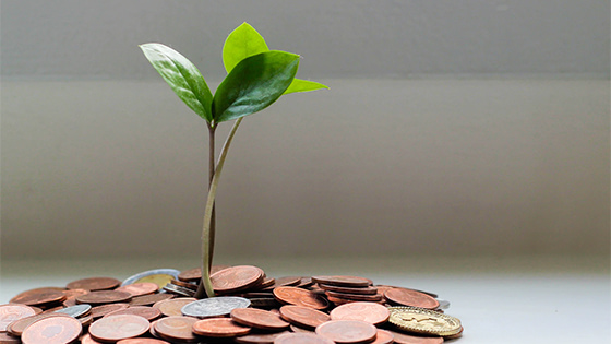 a green plant growing from a pile of coins; image used for blog post about not-for-profit endowment