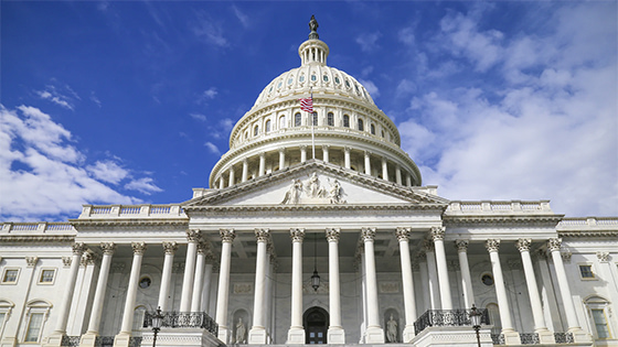 U.S. Capitol building with American flag waving in front; image used for blog about tax law change update about extenders and provisions