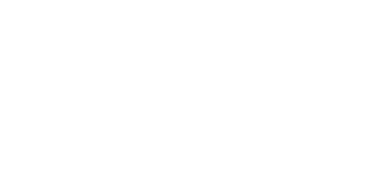 Pannell Kerr Forster of Texas, P.C. logo