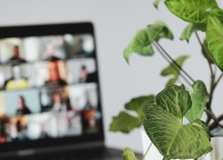 plant sitting in front of a laptop with a conference call