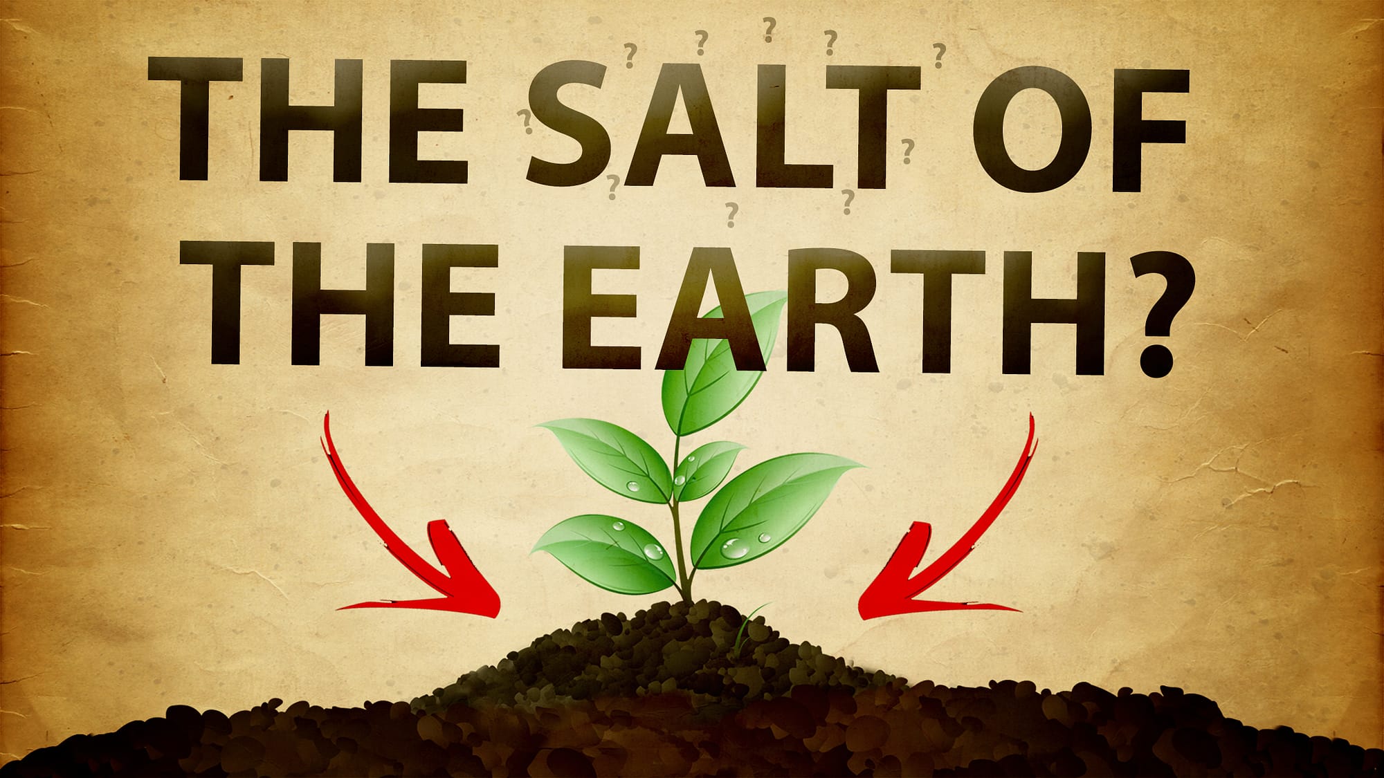 The Salt of the Earth?
