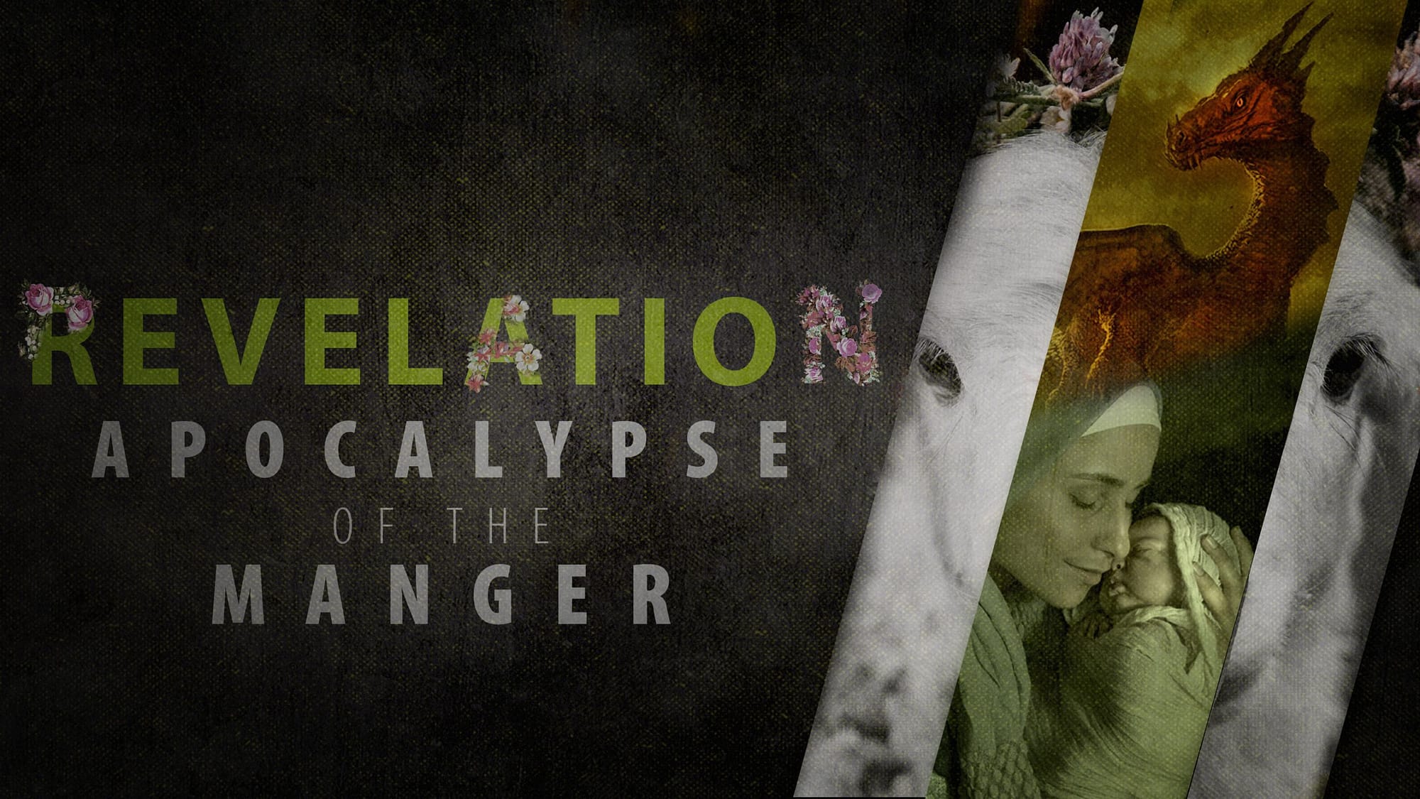 Apocalypse of the Manger | Revelation 12 | How Important is Mary?