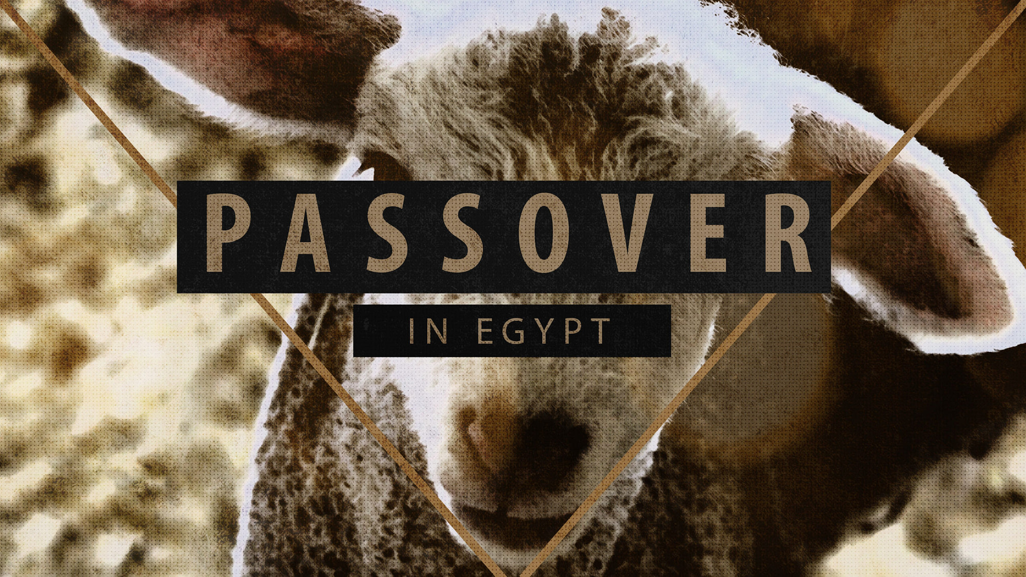 Passover in Christ | Messianic Passover Teaching Series