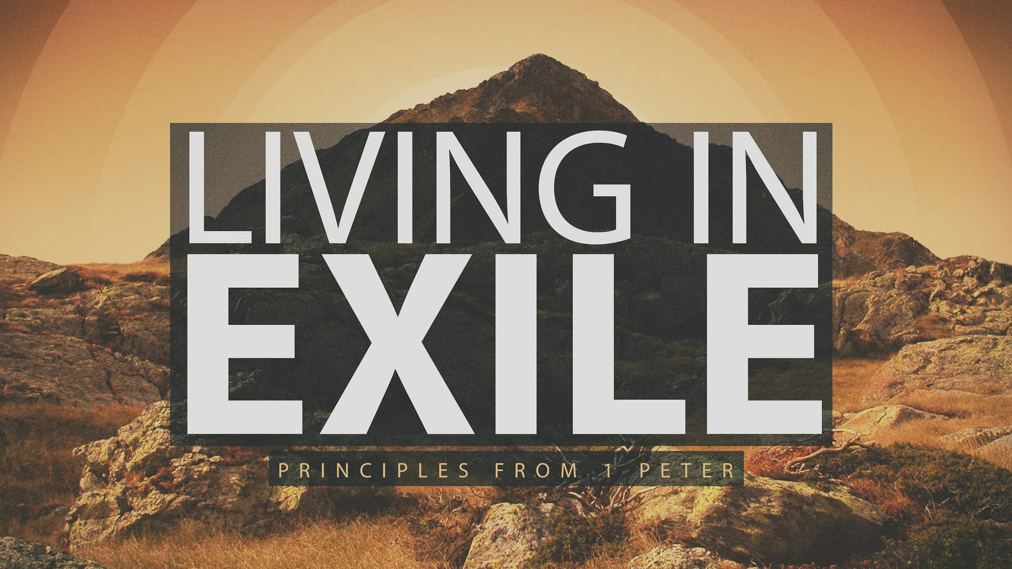 Living in Exile: Principles of 1 Peter