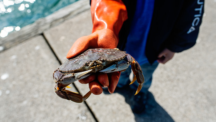 Roadschooling - How To Homeschool While RVing - Fulltime Families Unschooling while traveling_