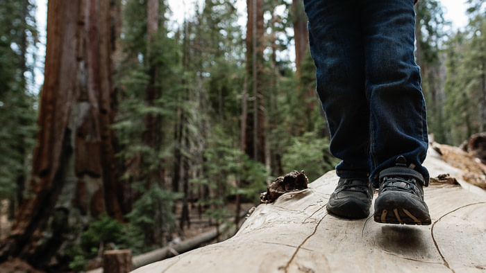 Roadschooling - How To Homeschool While RVing - Fulltime Families Homeschool Resources