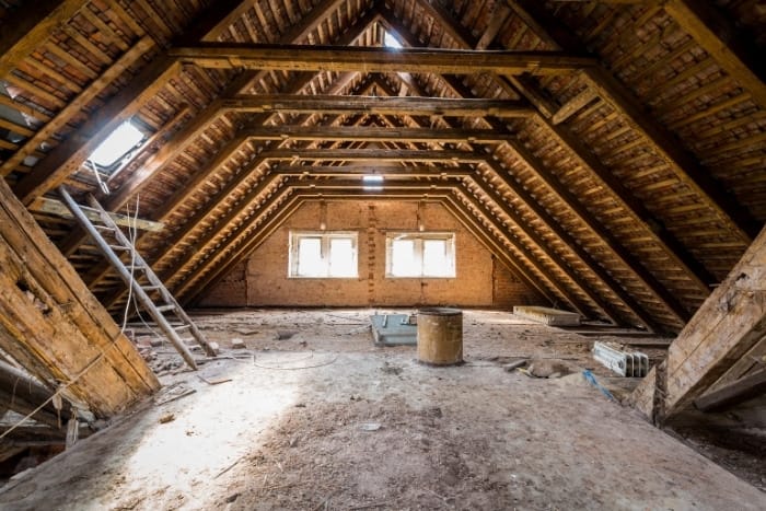 Attic space as a common indoor wasp nesting location