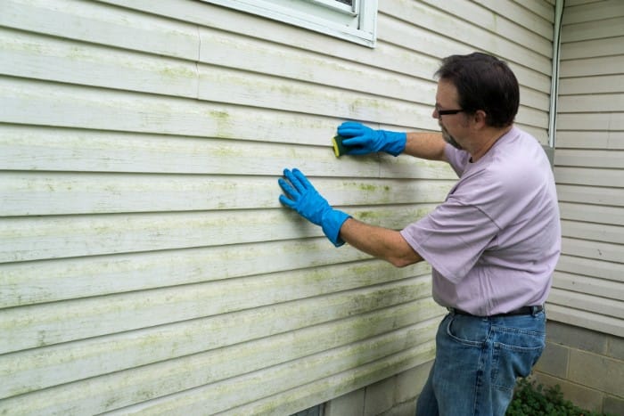 A Southeast Texas Homeowner scrubbing mold and mildew off vinyl siding