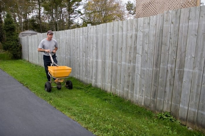 Professional lawn fertilization service improving turf density