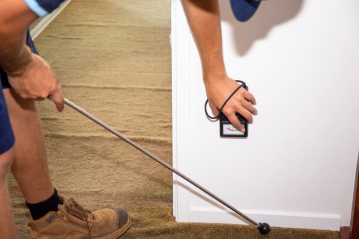 Everything You Need to Know About WDI Inspections