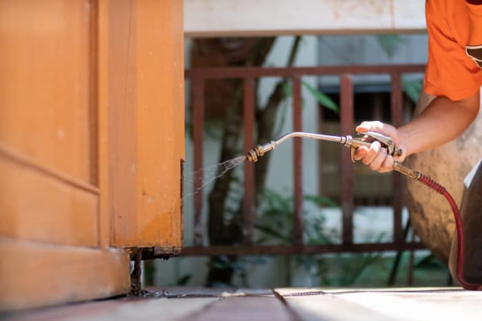 Everything You Need to Know About WDI Inspections
