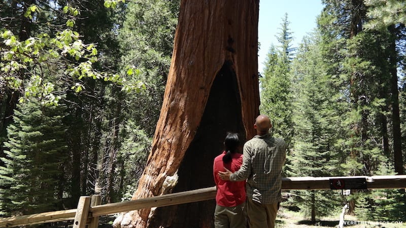 Kings Canyon National Park - Camping Near The General Grant Tree 4 Kings Canyon National Park The General Grant Tree