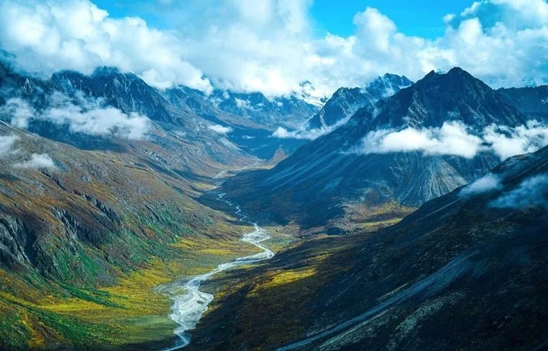 Denali national park hiking tours top