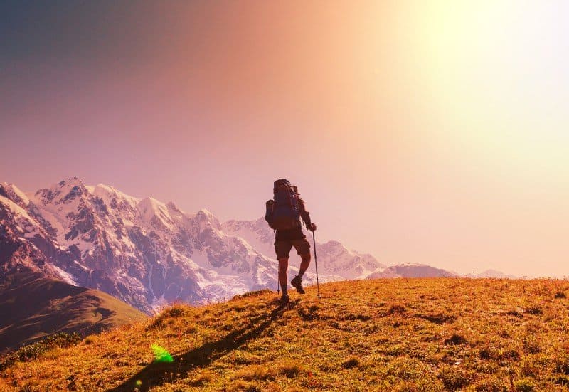 Denali Backcountry Adventure