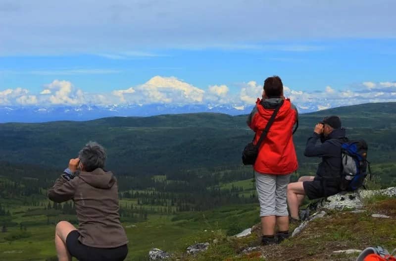 Denali hiking tours top