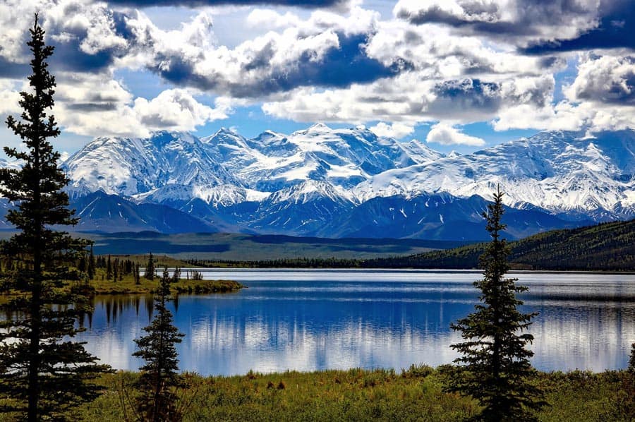 denali national park