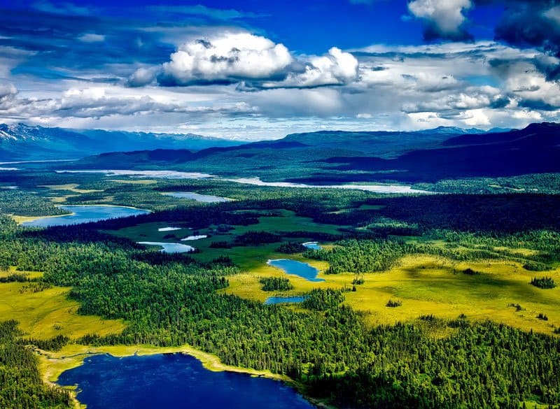 denali national park aerial view in the summer