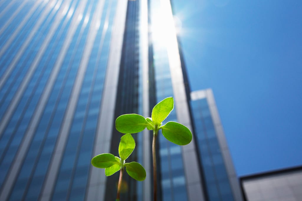 Leed Certification