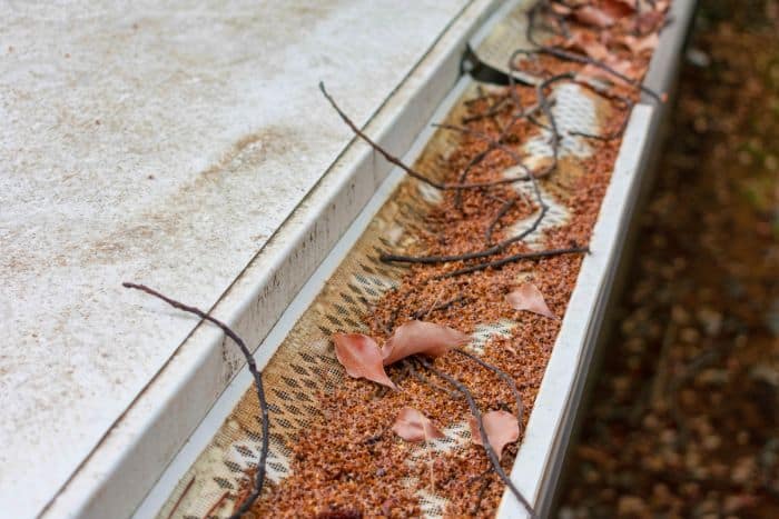 How Clogged Gutters Can Attract Pests to Your Home