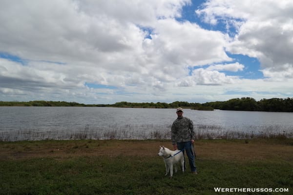 Nine Mile Pond Everglades