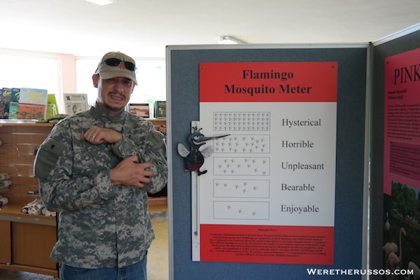 Flamingo Visitor Center Everglades Mosquito Meter