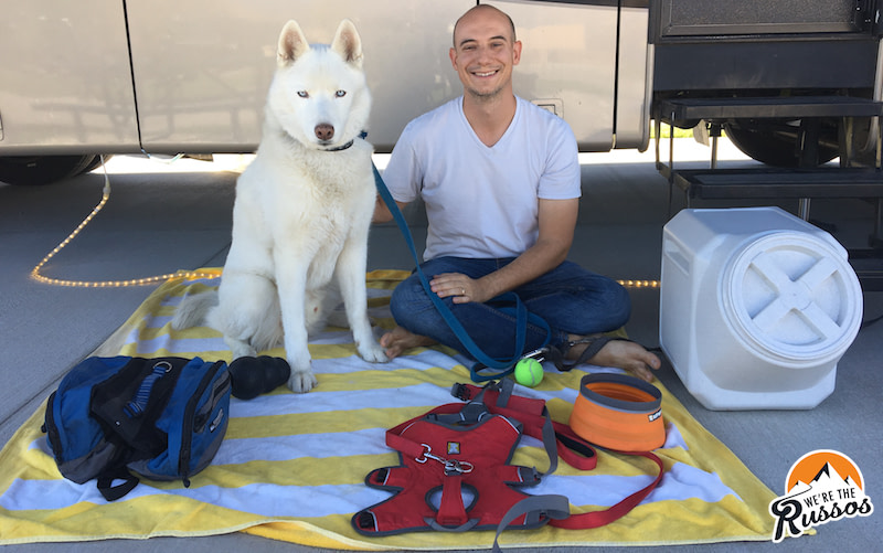 11 Essential Dog Travel Accessories and Dog Camping Gear 1