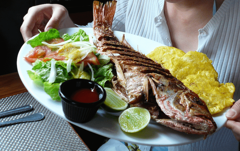Travel guide: Panama - red snapper