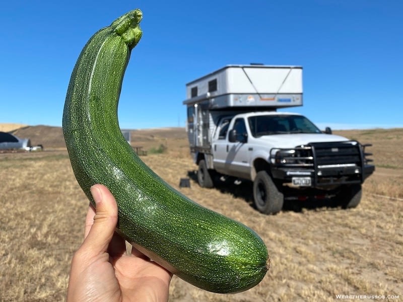 harvest host wyoming