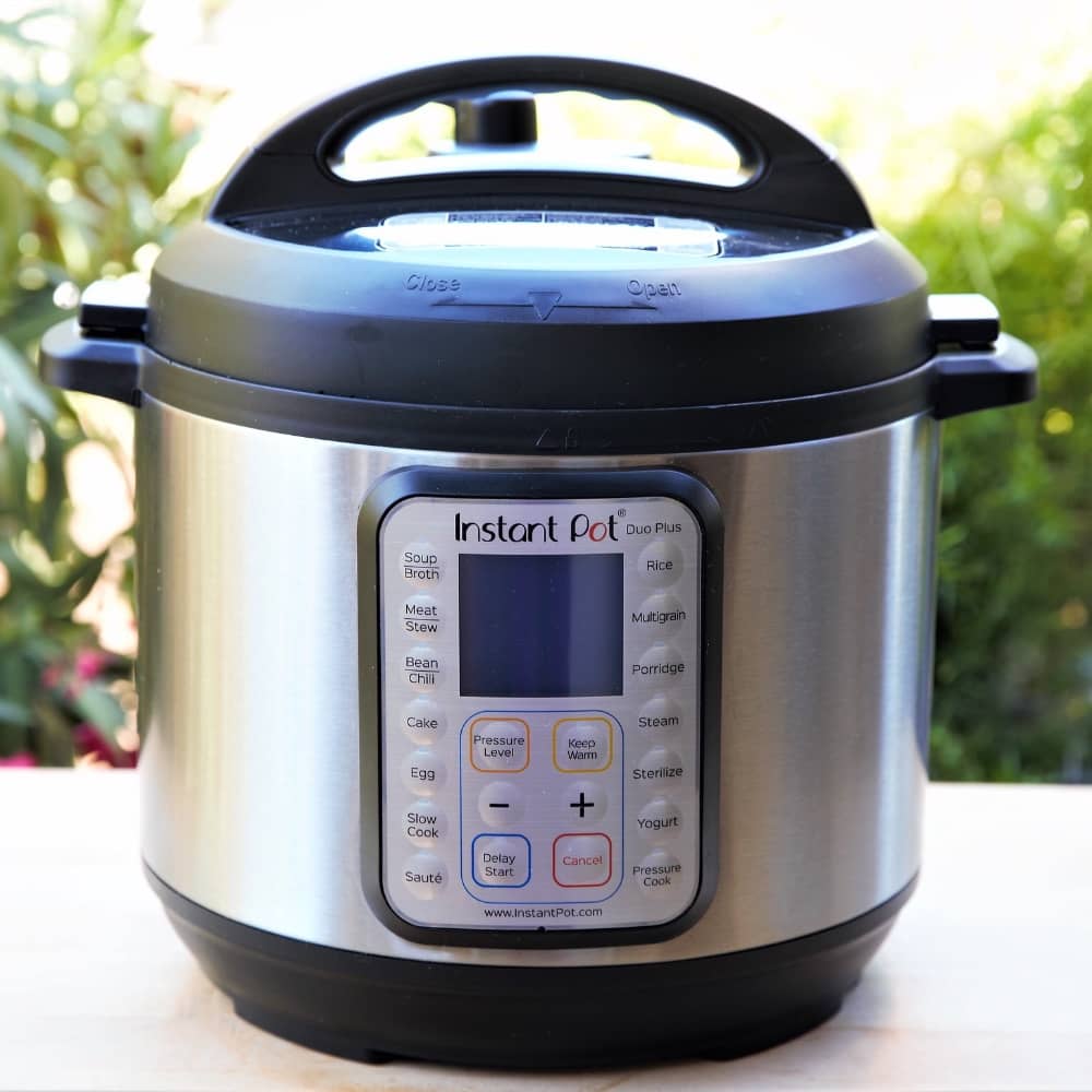 Instant Pot Thanksgiving in RV