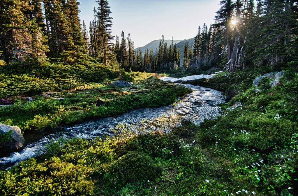 Olympic National Park