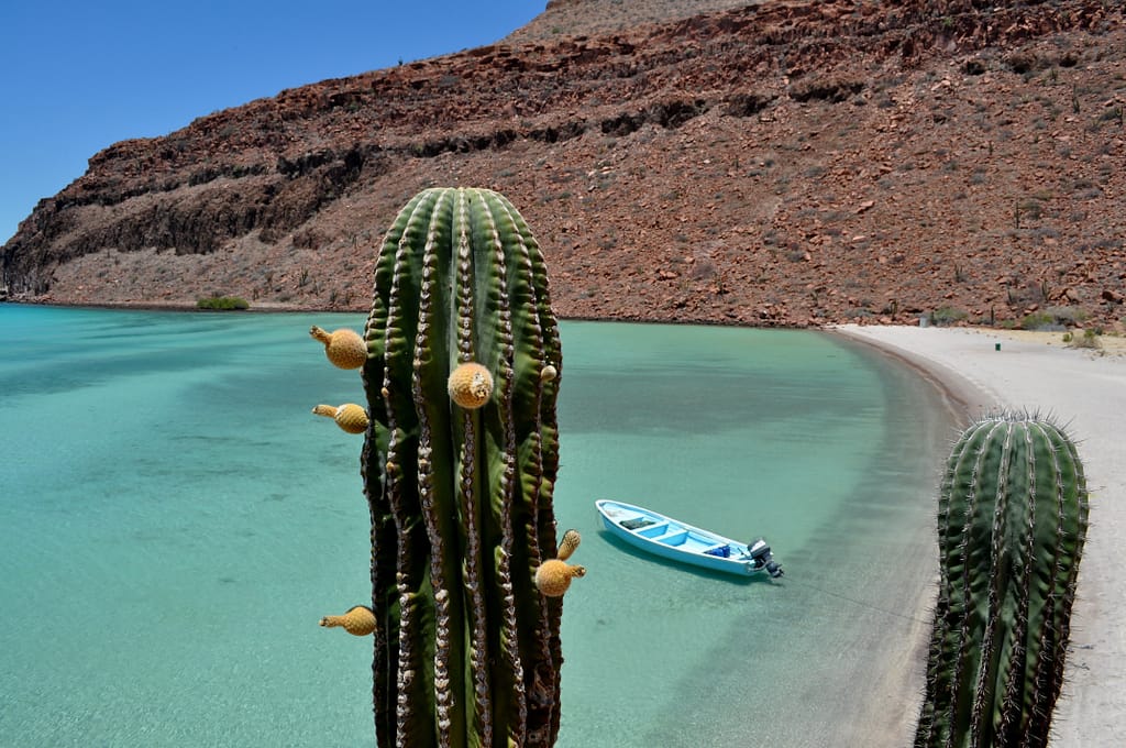 Cactus and small boat on beach in Baja, MX. Baja is a great winter RV destination for adventurous people. 