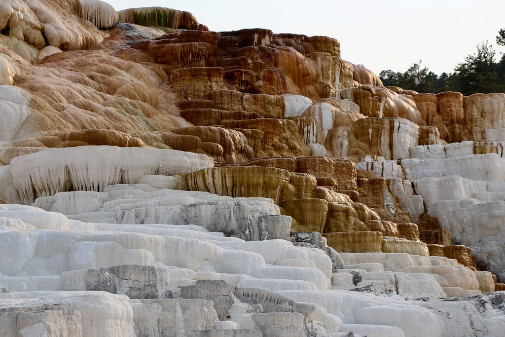 Mammoth Hot Springs Things to See in Yellowstone