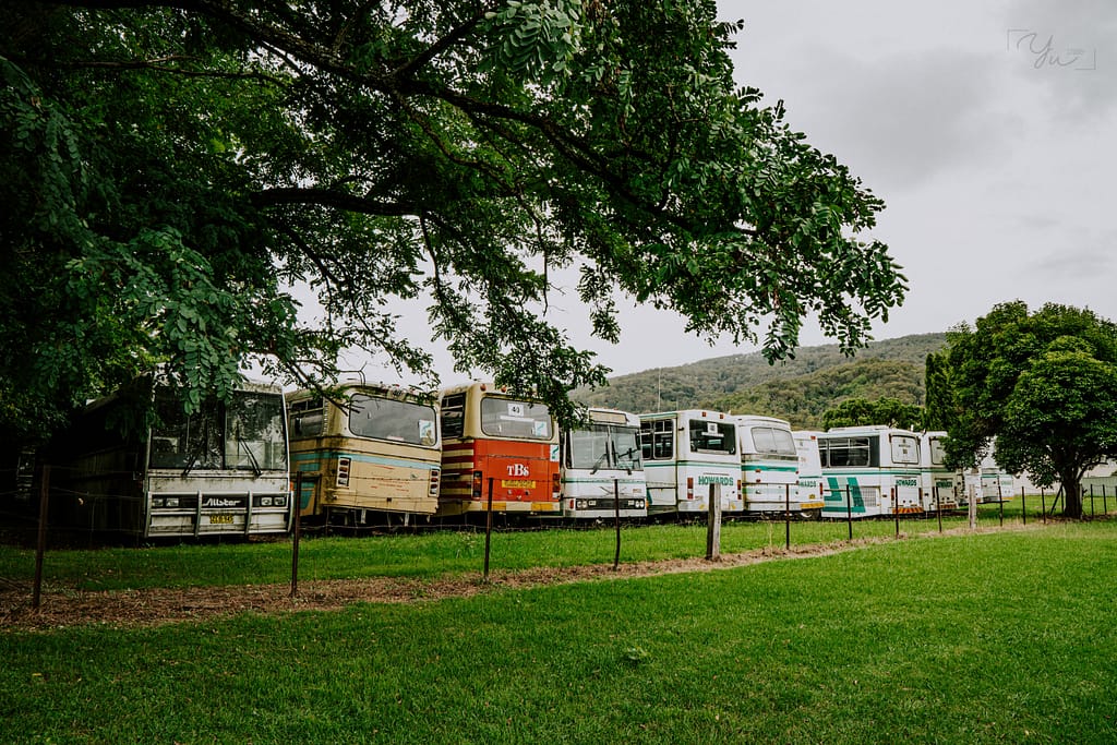 RVs in storage