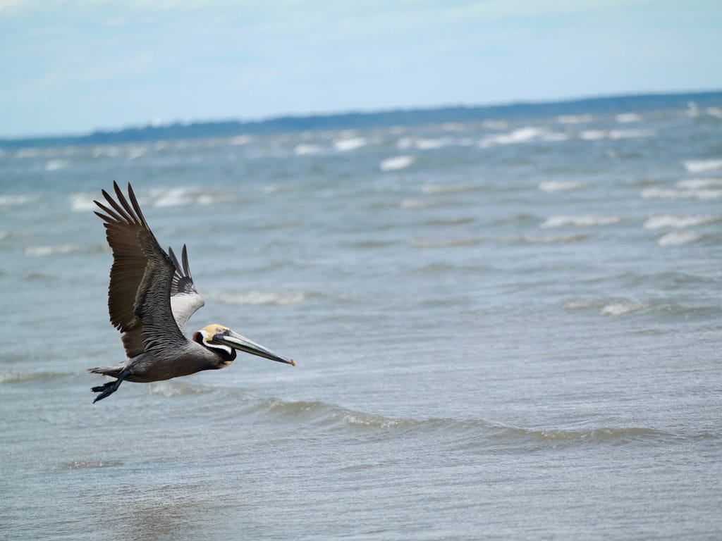 Hilton Head Island