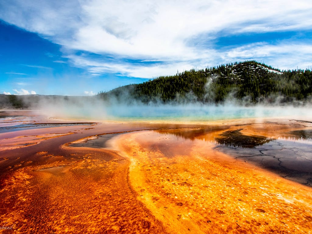 Yellowstone National Park