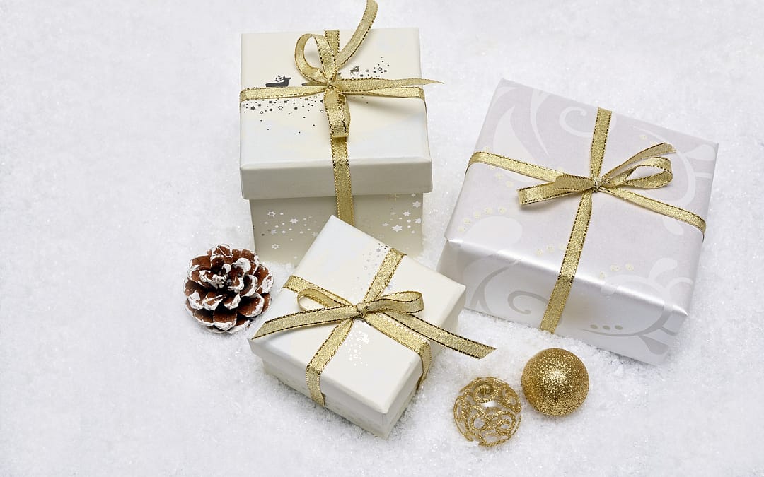 The Fulltime Families Holiday Gift Guide for RVers