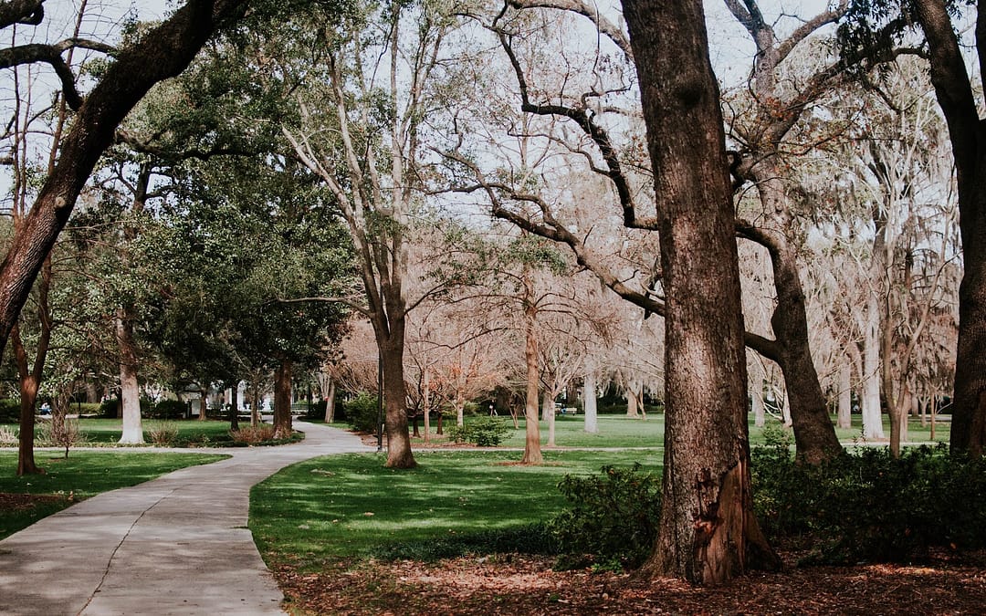 RVing in Savannah, GA