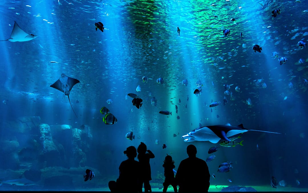 Family enjoying aquarium
