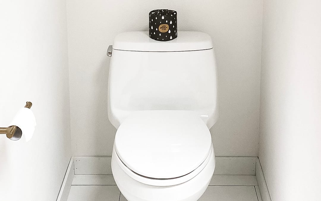 RV toilet