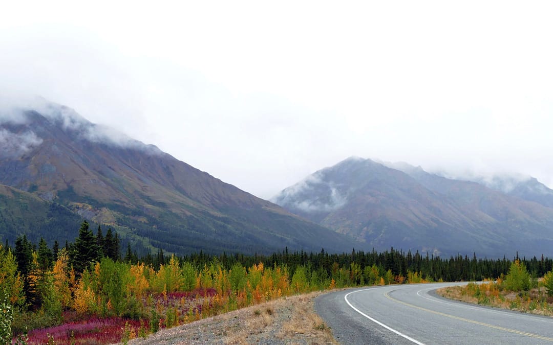 RV Trip Planning: A Step-by-Step Guide to Effectively Planning Your Year