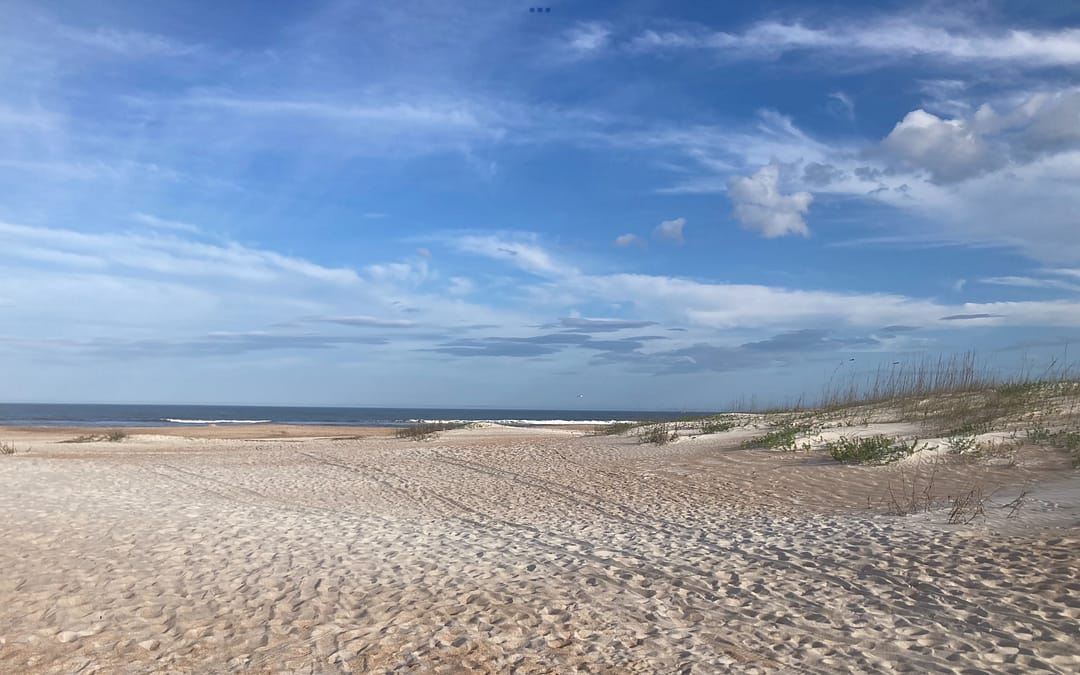 Anastasia State Park: a beautiful one of the Florida State Parks