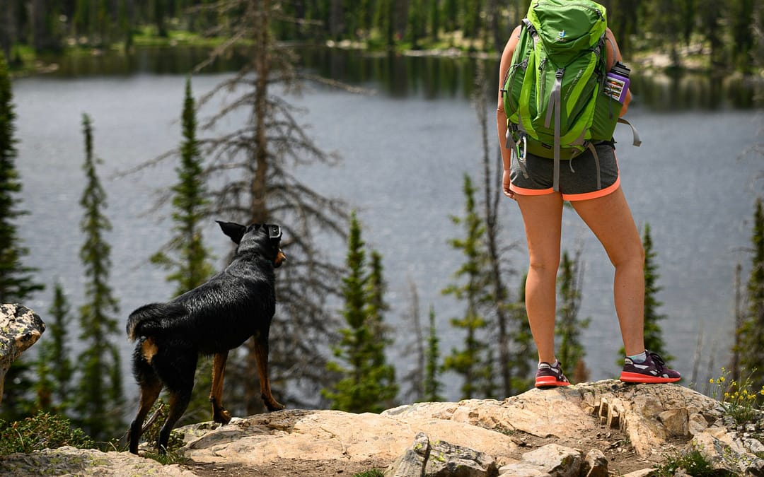 Lady hiking while camping with a dog