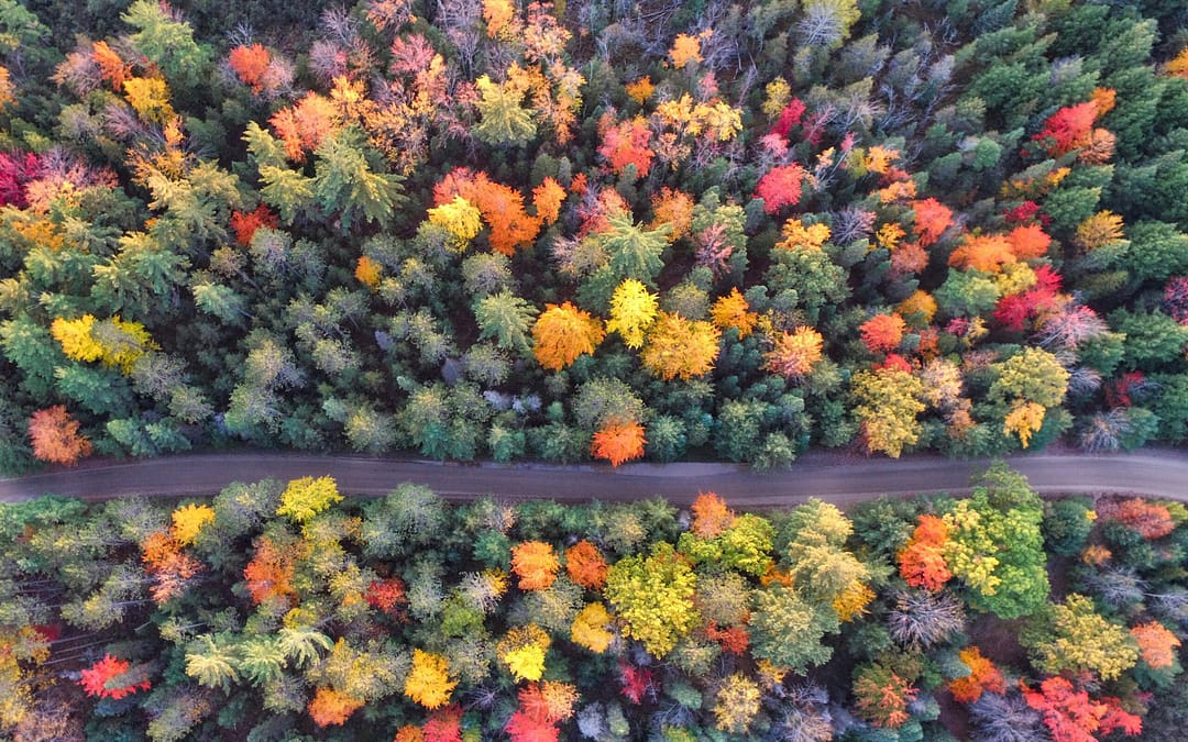9 Fall Camping Tips for the Full Time RVer