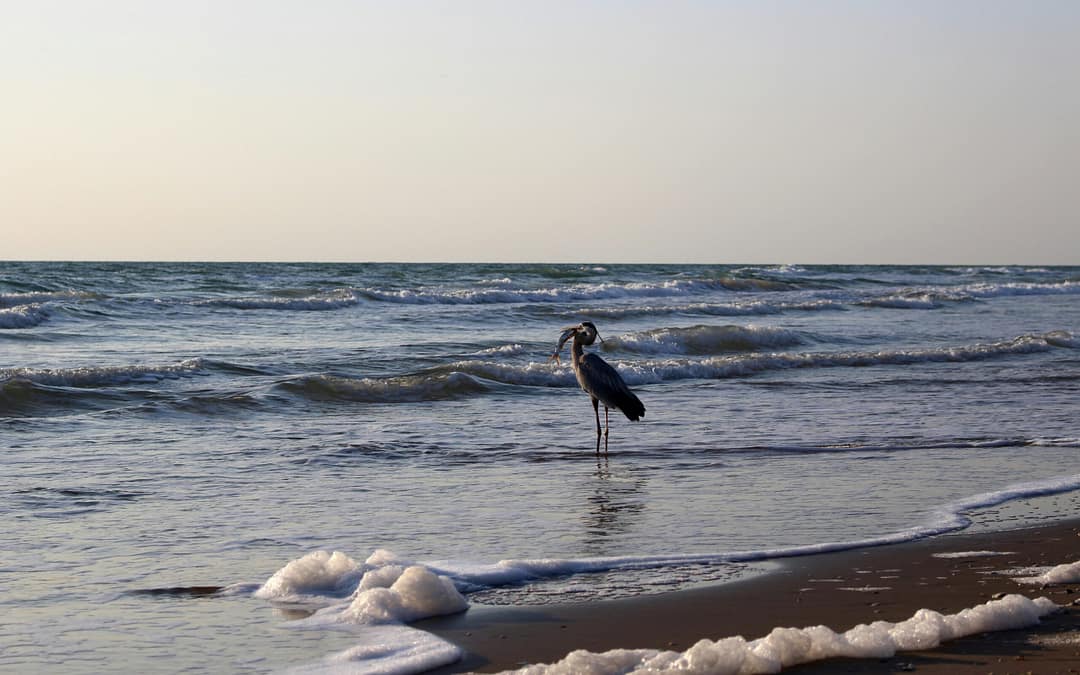 Great Things to Know About Winter RVing in Texas