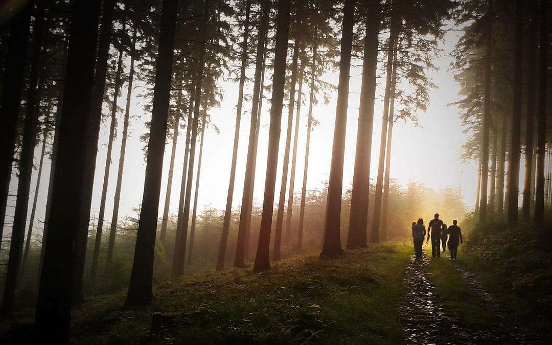 National Parks Hikes