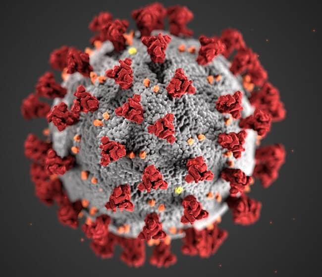 Coronavirus, What We Are Doing To Protect You