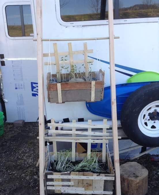 Gardening in Your RV; How to Grow a Garden on the Go