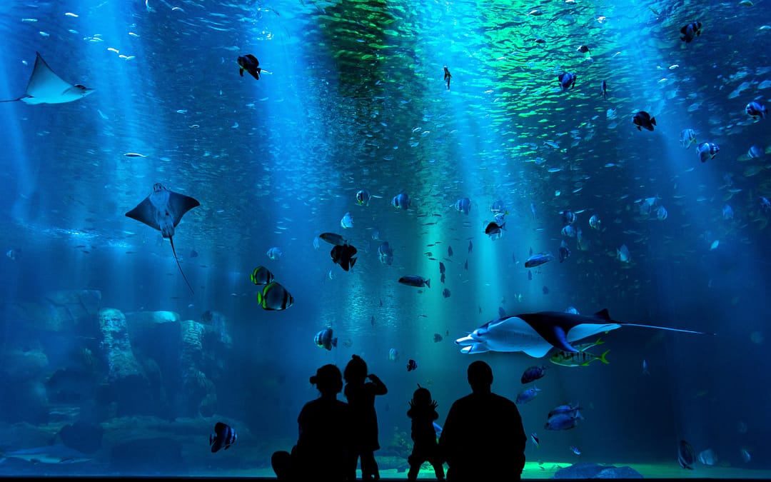 Family enjoying aquarium
