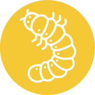 an icon featuring a worm